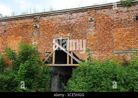 Muro di mattoni rossi incrinato con crescita eccessiva a Fort Owcza Góra, Kłodzko Foto Stock