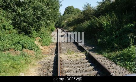 Il binario ferroviario scompare in una foresta: Vista prospettica lungo i binari circondati da alberi Foto Stock