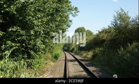 Il binario ferroviario scompare in una foresta: Vista prospettica lungo i binari circondati da alberi Foto Stock