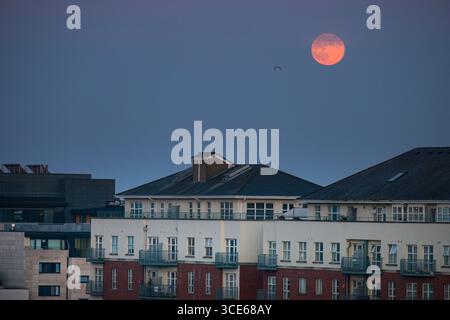 Luna salire oltre il Waterside Apartments, Grand Canal Dock, Docklands, Dublino, Leinster, Irlanda Foto Stock