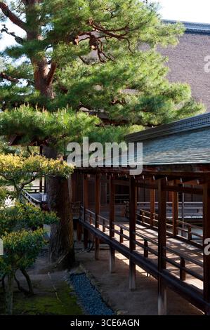 Murasame-no-roka (村雨の廊下) corridoio coperto con soffitto basso e "pavimento notturno" avvisa gli intrusi che producono spada, Daikakuji, Kyoto, Giappone. Foto Stock