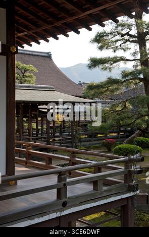 Murasame-no-roka (村雨の廊下) corridoio coperto con soffitto basso e "pavimento notturno" avvisa gli intrusi che producono spada, Daikakuji, Kyoto, Giappone. Foto Stock