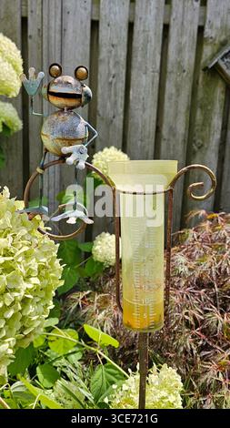 Stravagante scultura di rana metallica che ondeggia accanto a un pluviometro, annidata tra ortensie fiorenti in un lussureggiante giardino estivo. Foto Stock