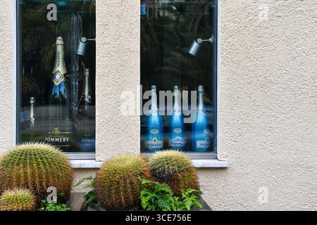 Un paio di finestre con diverse bottiglie di champagne Pommery, con Cacti d'oro (Echinocactus grusonii) in primo piano, Sanremo, Italia Foto Stock