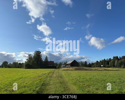 Un pittoresco paesaggio rurale con un vasto campo verde e un cielo azzurro luminoso con soffici nuvole. Foto Stock