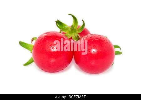 Pomodori isolati su sfondo bianco, pomodoro con gocce d'acqua Foto Stock