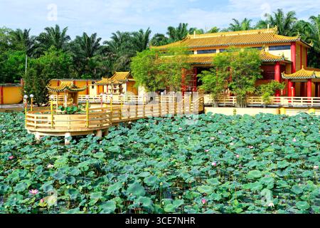 Ho visto Hock Yeen, noto tempio di Confucio per aver portato fortuna agli studenti, Lotus Pond, Chemor, Perak, Malesia Foto Stock