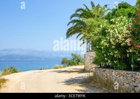 La strada costiera lungo la baia di Likva si trova vicino a Sutivan sull'isola di Brac. Croazia Foto Stock