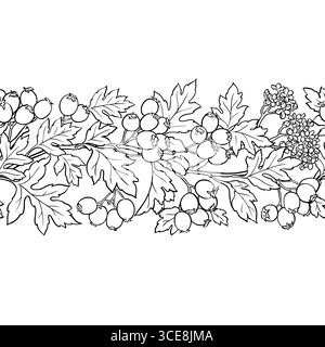 Contorno biancospino tracciato orizzontale senza giunture Illustrazione Vettoriale