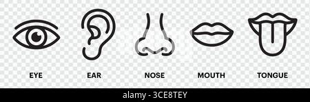 Icone dei cinque sensi: Occhio, orecchio, naso, bocca e lingua Illustrazione Vettoriale