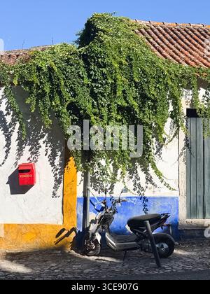 Uno scooter si appoggia su una parete colorata con un tetto coperto di vite e una cassetta postale rossa. Il muro è dipinto in bianco, giallo e blu, in contrasto con t Foto Stock