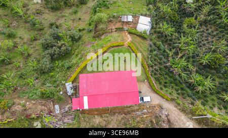 Una vista aerea panoramica di una casa dal tetto rosso circondata da vegetazione lussureggiante e piantagioni di caffè a Popayán, Cauca, Colombia. Foto Stock