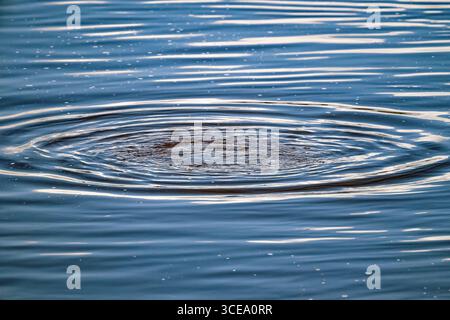 L'acqua circolare si riversa sulla superficie del lago dopo le immersioni, Chew Valley Lake, Somerset, Regno Unito Foto Stock