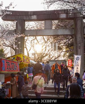 Torii di pietra tradizionale giapponese del porta d'ingresso al Santuario Toshogu, il Parco Ueno Taito, Tokyo, Honshu, Giappone Foto Stock