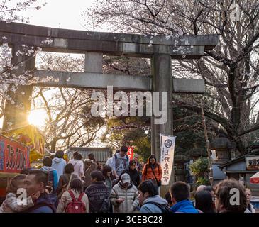 Torii di pietra tradizionale giapponese del porta d'ingresso al Santuario Toshogu, il Parco Ueno Taito, Tokyo, Honshu, Giappone Foto Stock