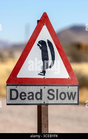Cartello "Dead Slow" a Solitaire, regione di Khomas, Namibia, Africa Foto Stock