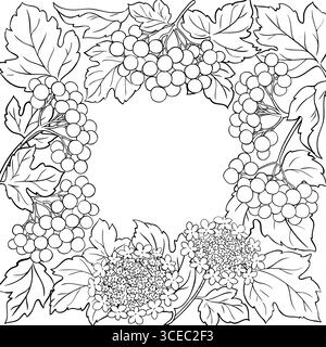 Ramo rosa Guelder con cornice profilo bacche. Illustrazione Vettoriale