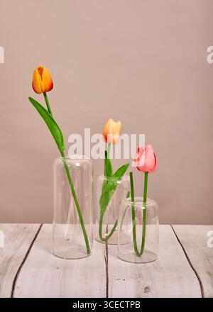 Tre tulipani colorati in vasi di vetro su una superficie rustica in legno, con uno sfondo neutro, creano una composizione floreale artistica e serena ideale per Foto Stock