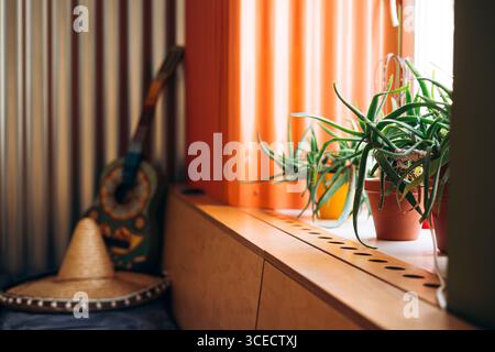 Un intimo interno messicano presenta un sombrero e una chitarra decorata contro una parete di metallo ondulato. Le piante di aloe in vaso sono disposte su davanzale con sof Foto Stock
