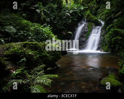 La splendida cascata scorre nel verde lussureggiante della Foresta impenetrabile di Bwindi, Uganda. Il tranquillo paesaggio cattura l'essenza della bellezza naturale a. Foto Stock