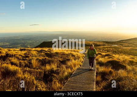 Un escursionista gode di un momento sereno all'alba su una passerella sul Monte Taranaki in nuova Zelanda. La luce dorata illumina il paesaggio lussureggiante, Highlighti Foto Stock