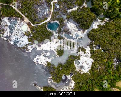 Vista aerea del paesaggio geotermico di Rotorua in nuova Zelanda, con sfiati fumanti, piscine di fango e vegetazione vivace in una dinamica e geotermica Foto Stock