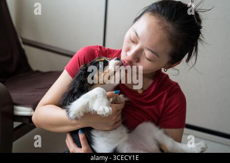 Una giovane donna addestra amorevolmente il suo Cavalier Re Carlo Spaniel in un ambiente accogliente. Il collegamento e il legame tra il proprietario e l'animale domestico sono evidenti Foto Stock
