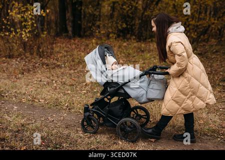 Una madre ama una tranquilla passeggiata autunnale nel parco, spingendo il suo bambino in un accogliente passeggino tra fogliame colorato e foglie cadute dolcemente, e. Foto Stock