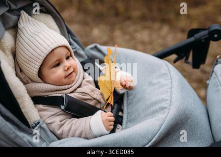 Un simpatico bambino vestito con un cappello e un cappotto si siede in un passeggino, tenendo con gioia una foglia autunnale caduta. L’espressione del bambino riflette la curiosità e.. Foto Stock