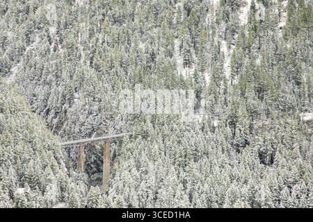 Vista aerea di un ponte che attraversa un paesaggio alpino densamente boscoso coperto di neve fresca, catturando la serena bellezza del wil invernale di Zermatt Foto Stock
