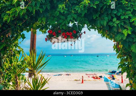 Vista panoramica sulla spiaggia estiva incorniciata da lussureggianti foglie verdi e fiori rossi appesi in un cesto, che si affaccia sull'acqua turchese, sulla sabbia bianca e ancorata Foto Stock