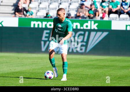 Viborg, Danimarca. 17 agosto 2025. Superligakampen mellem Viborg FF og Silkeborg IF paa Energi Viborg Arena i Viborg soendag den 17. agosto 2025 credito: Ritzau/Alamy Live News Foto Stock