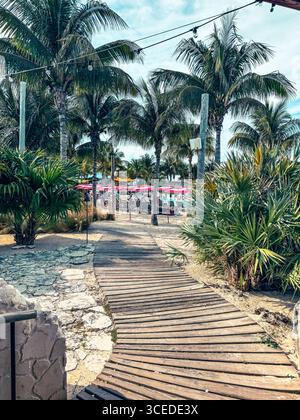 Bimini, Bahamas - 3 gennaio 2025: Scenario sulla spiaggia di Bimini intorno a Resorts World Foto Stock