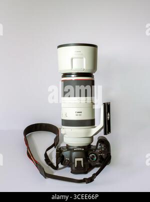 Canon EOS R6 Mark II con RF100-500mm F4.5-7,1 L IS l'obiettivo USM è per una fotocamera professionale full frame Foto Stock