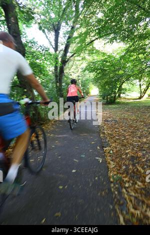 Usti nad Orlici, repubblica Ceca - 08162025 - ciclisti che percorrono un sentiero forestale in una soleggiata giornata estiva Foto Stock