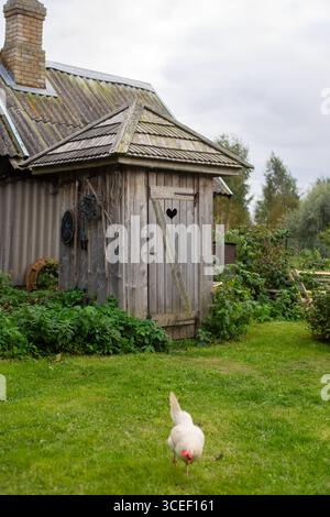 17.09.2016, Varnja, Estonia: Tradizionale attico in legno con intaglio a forma di cuore sulla porta, circondato da verde giardino e un pollo bianco. Foto Stock