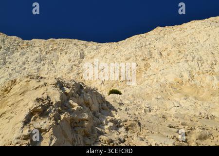 Seven Sisters Chalk Cliffs, East Sussex, Regno Unito in estate. Una popolare attrazione turistica con ottime passeggiate nel parco nazionale di South Downs. Spiaggia di Stony. Foto Stock
