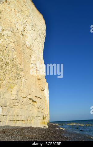 Seven Sisters Chalk Cliffs, East Sussex, Regno Unito in estate. Una popolare attrazione turistica con ottime passeggiate nel parco nazionale di South Downs. Spiaggia di Stony. Foto Stock