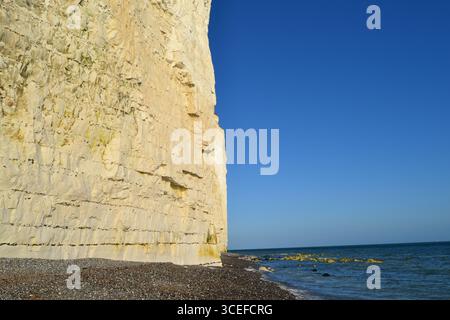 Seven Sisters Chalk Cliffs, East Sussex, Regno Unito in estate. Una popolare attrazione turistica con ottime passeggiate nel parco nazionale di South Downs. Spiaggia di Stony. Foto Stock