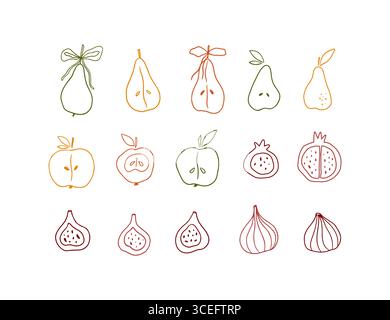 Disegno colorato di frutta autunnale disegnato a mano Illustrazione Vettoriale