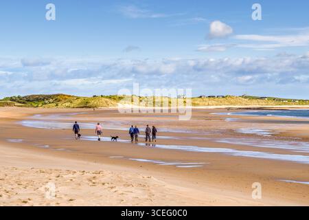 Passeggiata per cani di prima mattina, Embleton Beach, Northumberland, Regno Unito. Gruppo di persone che camminano sulla spiaggia con i loro cani, una mattina presto in primavera. Foto Stock