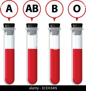 Illustrazione vettoriale di quattro provette di laboratorio riempite di sangue, ciascuna etichettata con un diverso tipo di sangue umano. Stile pulito e piatto con colori audaci Illustrazione Vettoriale