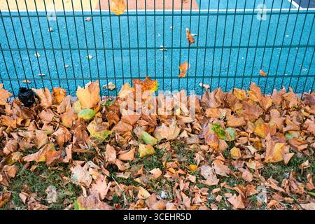 Londra, Regno Unito. 18 agosto 2025. Meteo nel Regno Unito: Segni di inizio autunno, foglie cadute nel nord di Londra. Crediti: Matthew Chattle/Alamy Live News Foto Stock