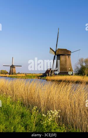 Pittoresco paesaggio olandese caratterizzato da storici mulini a vento, un tranquillo canale e una vibrante vegetazione nell'Olanda settentrionale Foto Stock