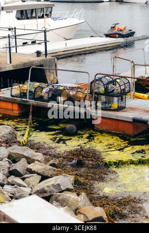 Le trappole da pesca sono impilate su un molo galleggiante in metallo accanto a una costa coperta di alghe in un porto norvegese. La scena include barche, equipaggiamento marino, a. Foto Stock