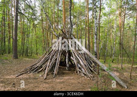 Un rifugio fatto di tronchi nelle profondità di un boschetto di foresta verde Foto Stock