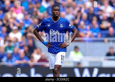 Liverpool, Inghilterra, Regno Unito. 09 agosto 2025. Thierno Barry dell'Everton durante l'amichevole di pre-stagione tra Everton FC e Roma all'Hill Dickinson Stadium, Liverpool, Inghilterra, Regno Unito il 9 agosto 2025Credit: Ryan Crockett/Every Second Media Credit: Every Second Media/Alamy Live News Foto Stock