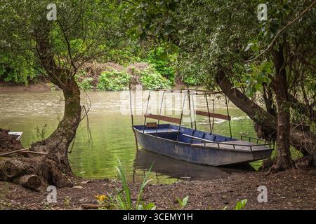 Piccola barca di metallo ormeggiata sul fiume Tamis a Jabuka, Serbia, riposa in acque poco profonde da salici sovrastanti. Riflessi verdi calmi e un lungofiume dentro Foto Stock