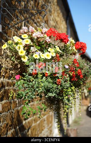 Cestino colorato con fiori appesi su un muro di pietra rustica con luce solare intensa. Adderbury, Inghilterra Foto Stock
