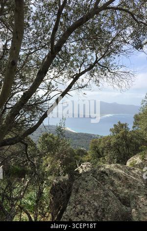 La foresta di montagna in Corsica si apre su un'ampia vista del mare turchese e della costa sabbiosa incorniciata da alti alberi in una limpida giornata estiva Foto Stock